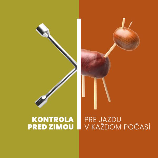 FIAT - Kontrola pred zimou
